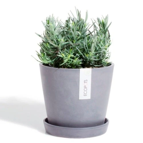 EcoPot Saucer - Amsterdam Blue-grey 4 EcoPot Saucer - Amsterdam Blue-grey - Image 2