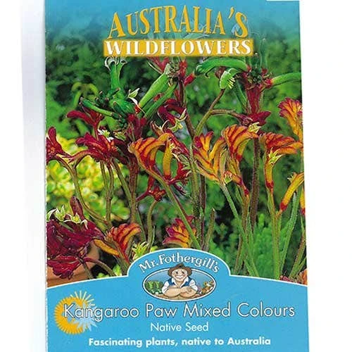 Australian Wildflower Kangaroo Paw - Seed 3 Australian Wildflower Kangaroo Paw - Seed - Image 2