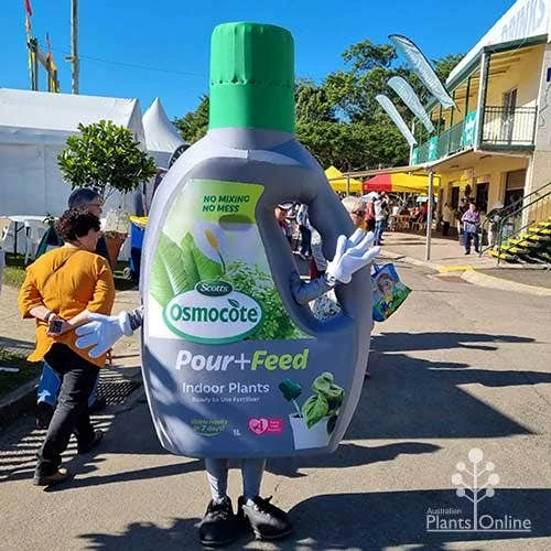 Osmocote 1L Pour + Feed House Plants Fertiliser 6 Osmocote 1L Pour + Feed House Plants Fertiliser - Image 4