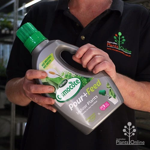 Osmocote 1L Pour + Feed House Plants Fertiliser 4 Osmocote 1L Pour + Feed House Plants Fertiliser - Image 2