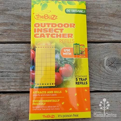 The Buzz Outdoor Insect Catcher Refills - Pack Of 5 3 The Buzz Outdoor Insect Catcher Refills - Pack Of 5