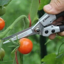 Compact Snips -Plant Sale Store compact snips