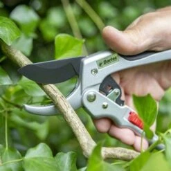 Ratchet Anvil Secateurs -Plant Sale Store darlac ratchet anvil pruner 1