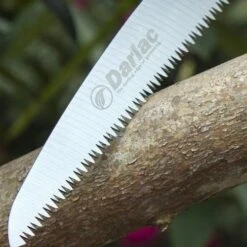 Sabre Tooth Folding Saw 10 Sabre Tooth Folding Saw -Plant Sale Store darlac sabre blade