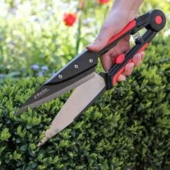 Expert Topiary Shear 8 Expert Topiary Shear -Plant Sale Store darlac topiary