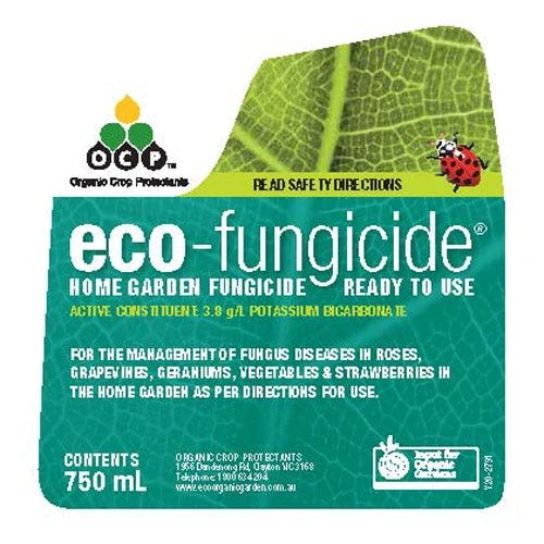 Eco-fungicide Spray 750ml 4 Eco-fungicide Spray 750ml - Image 2