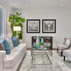 Ficus Lyrata - Fiddle Leaf Fig -Plant Sale Store fiddle leaf fancy room