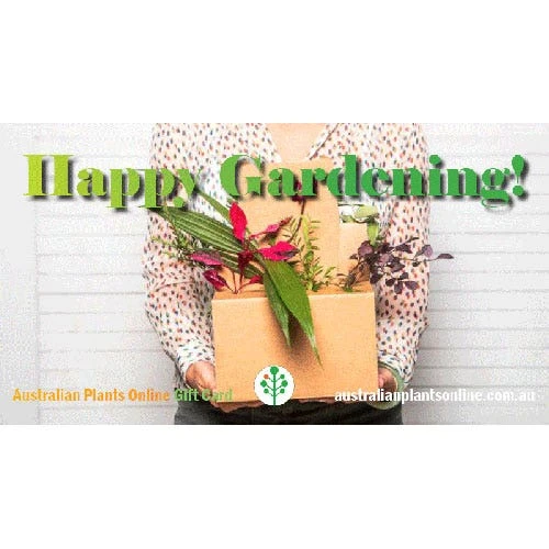 Gift Card 4 Gift Card - Image 2