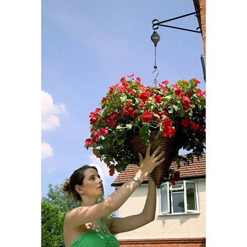 Hi-Lo For Hanging Baskets 4 Hi-Lo For Hanging Baskets - Image 2