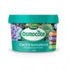 Osmocote 500g Cacti And Succulent Fertiliser 1 Osmocote 500g Cacti And Succulent Fertiliser -Plant Sale Store osmocote cacti succulents