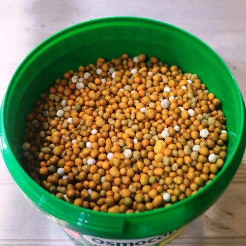 Osmocote 700g Fruit, Citrus, Trees & Shrubs Fertiliser 4 Osmocote 700g Fruit, Citrus, Trees & Shrubs Fertiliser - Image 2