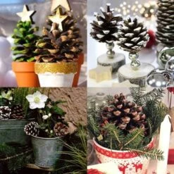 Pine Cones - Pack Of 4 7 Pine Cones - Pack Of 4 -Plant Sale Store pine cone pots
