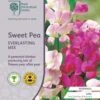 Sweet Pea Everlasting Mix - Seed 2 Sweet Pea Everlasting Mix - Seed -Plant Sale Store rhs everlasting pea