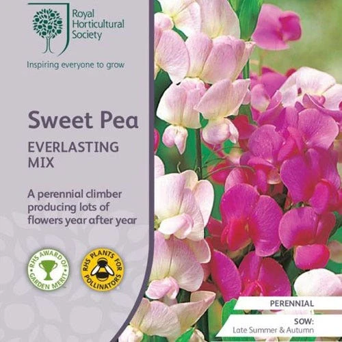 Sweet Pea Everlasting Mix - Seed 3 Sweet Pea Everlasting Mix - Seed