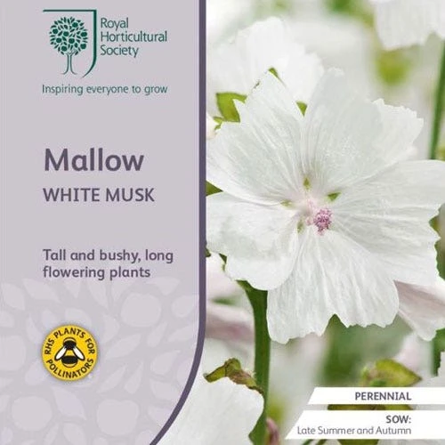 Musk Mallow - Seed 3 Musk Mallow - Seed