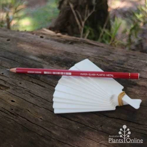 All-surface Pencil 4 All-surface Pencil - Image 2